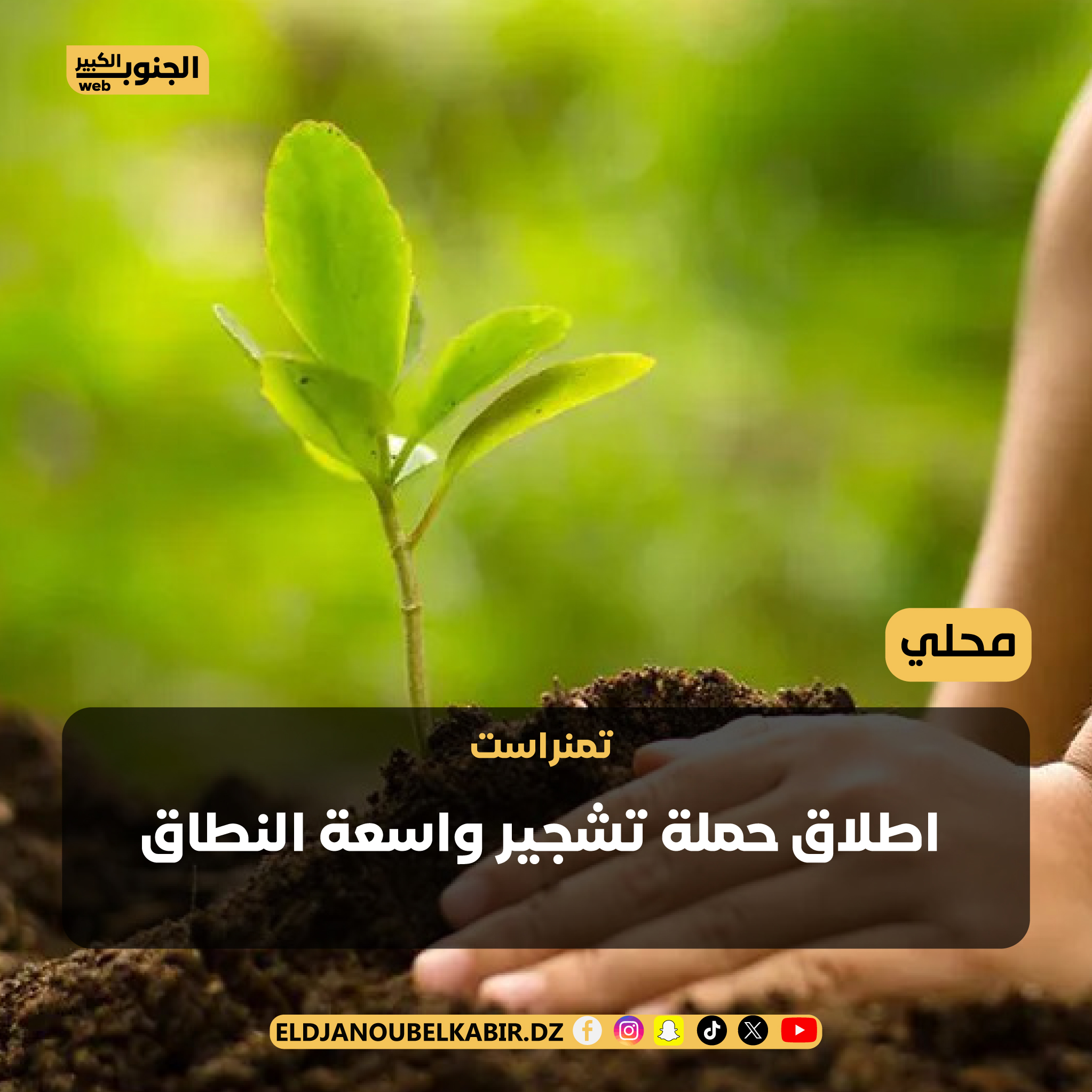 تحت عنوان”أمام كل بيت شجرة” اطلاق حملة تشجير واسعة بتمنراست