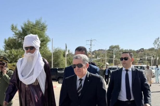 وزير السياحة مختار درويش